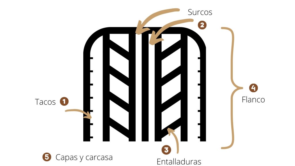 esquema de las partes de un neumático