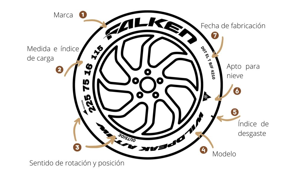 Partes del neumático
